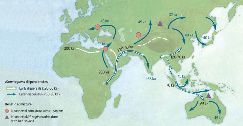 Map of sites with ages and postulated early and later pathways associated with modern humans dispersing across Asia during the Late Pleistocene